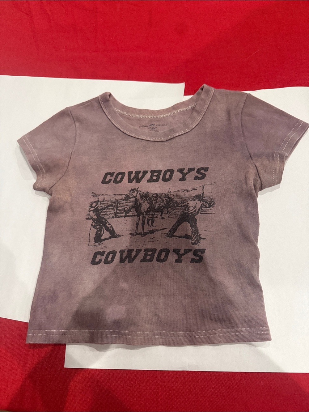 Brandy Melville Mauve Cowboy Graphic Crop Tee - Picture 1 of 3